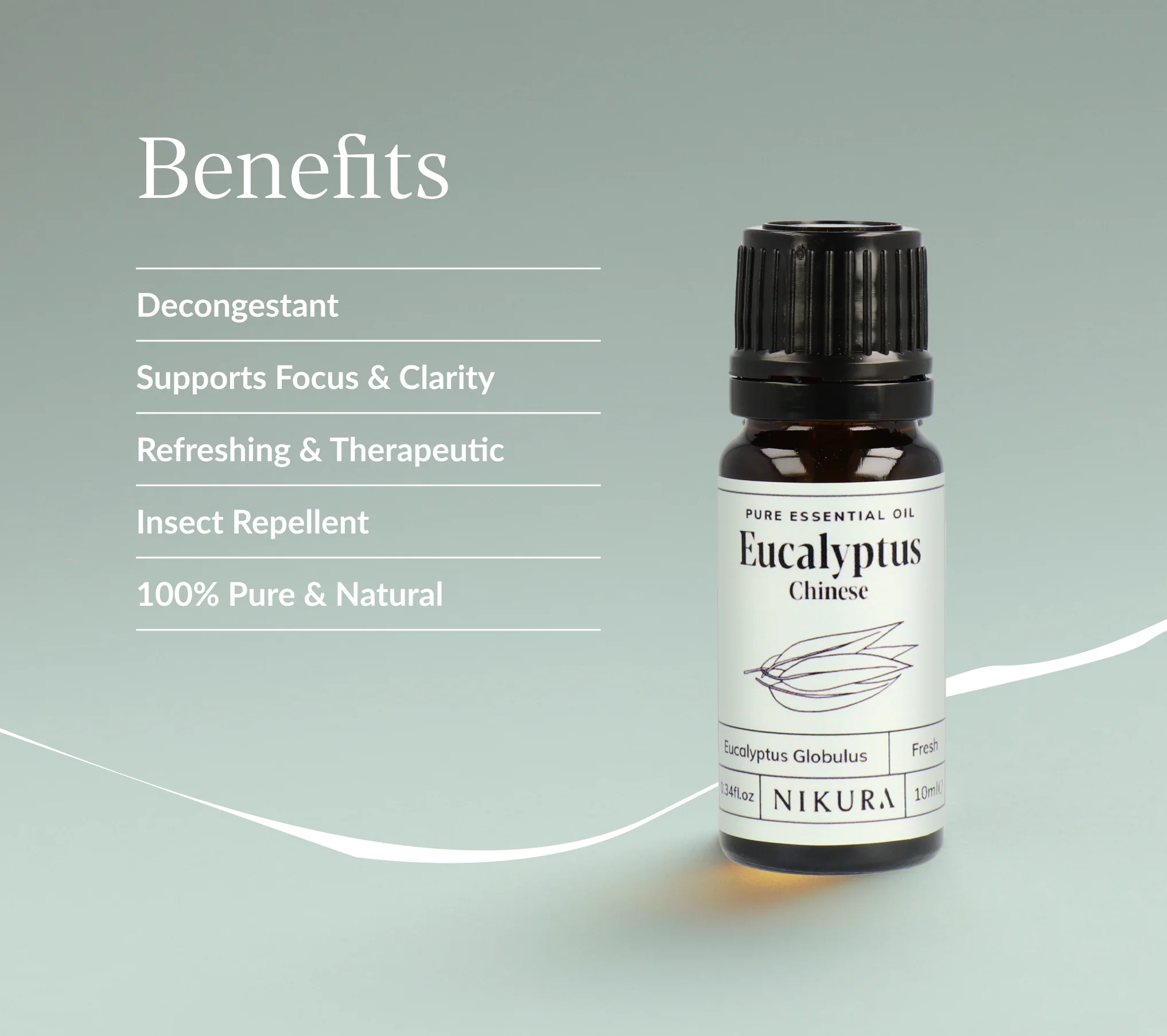 Eucalyptus (Chinese) Essential Oil - Image 3