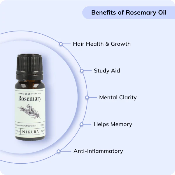 Rosemary Essential Oil - Image 3