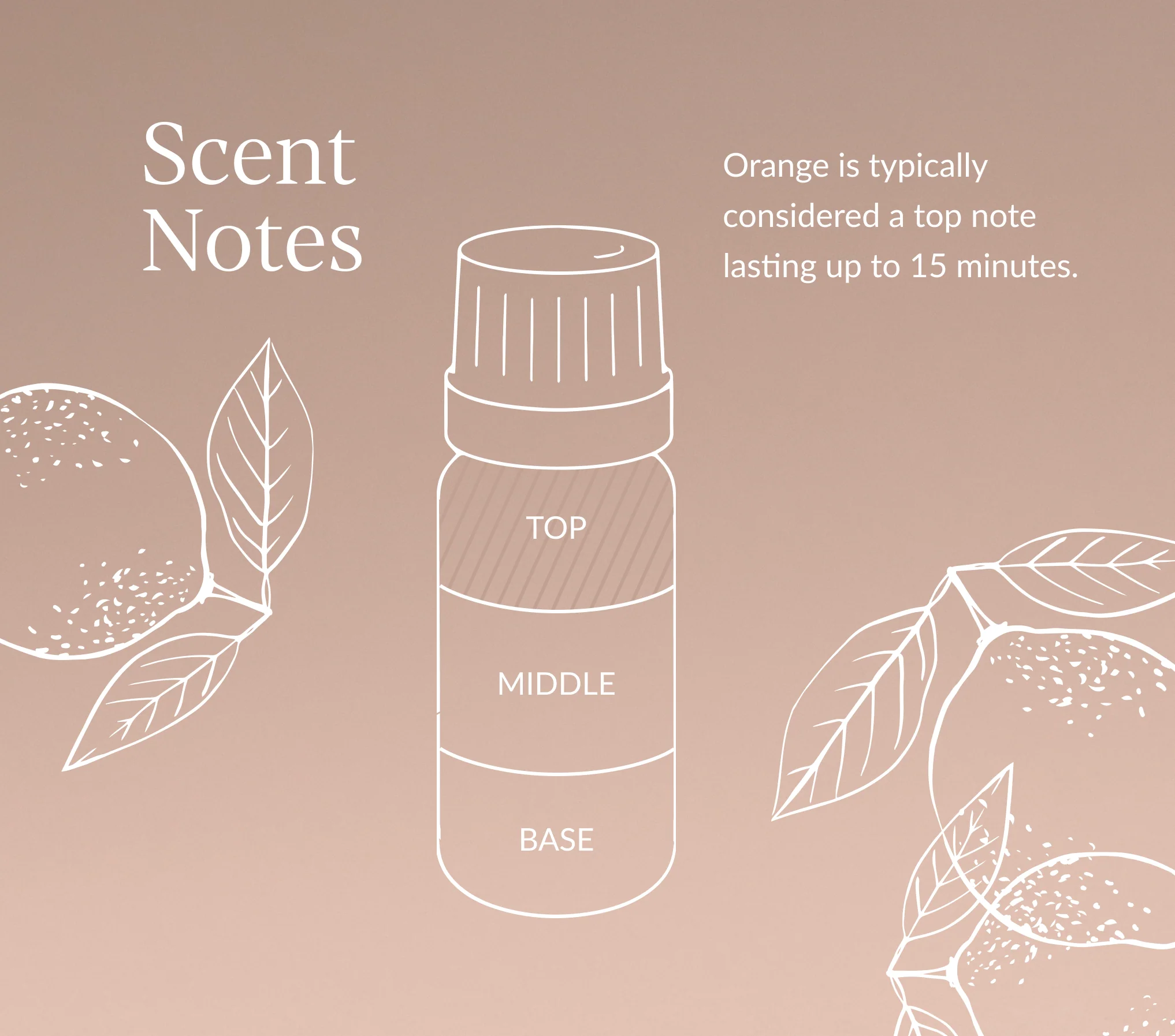 Orange Essential Oil (Sweet) - Image 7